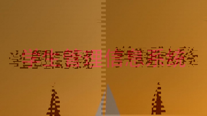 学生管理信息系统