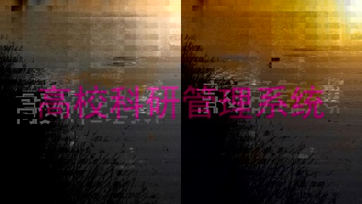 高校科研管理系统