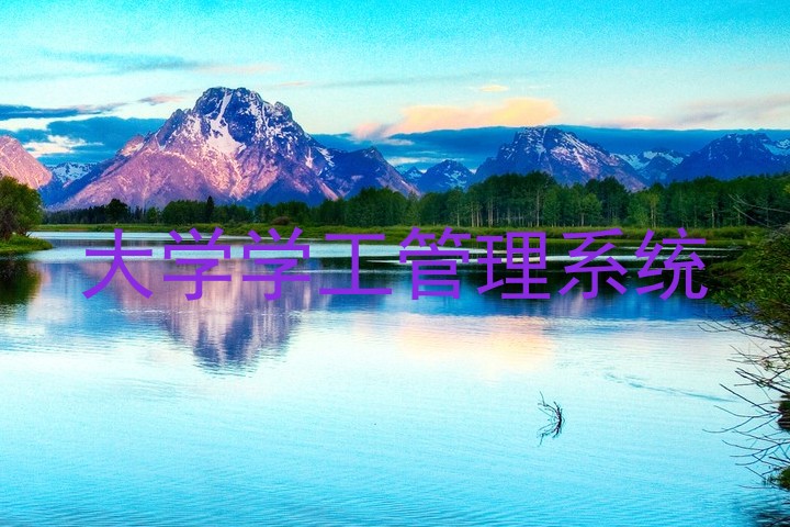 大学学工管理系统