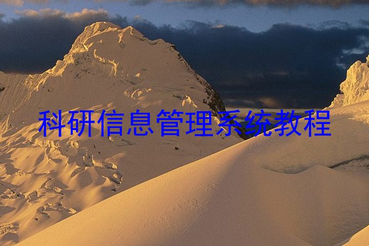 科研信息管理系统教程