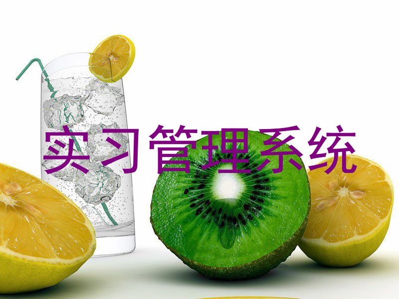 实习管理系统