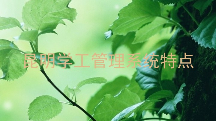 昆明学工管理系统特点