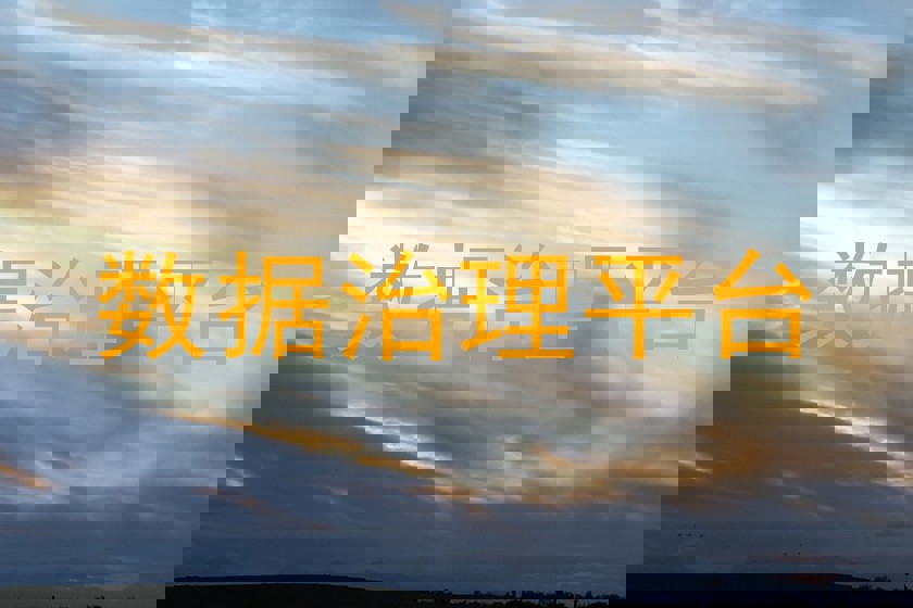 数据治理平台