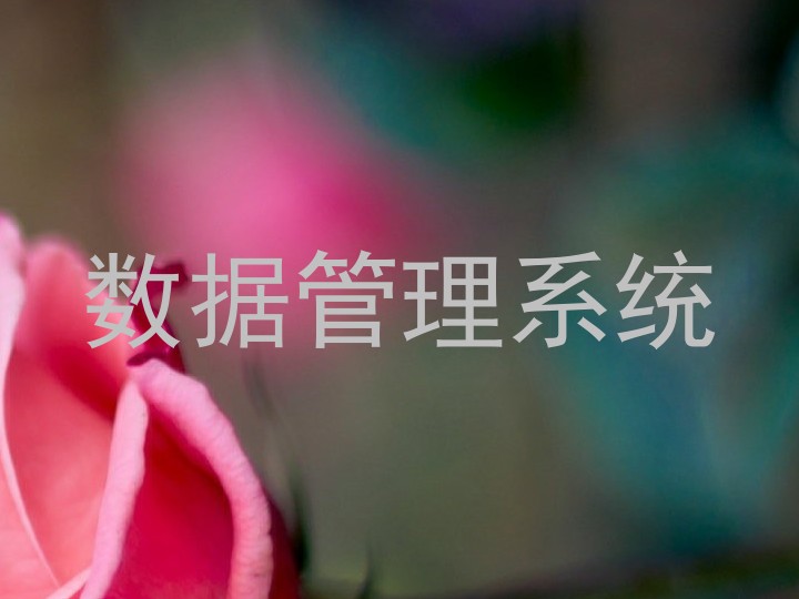 数据管理系统