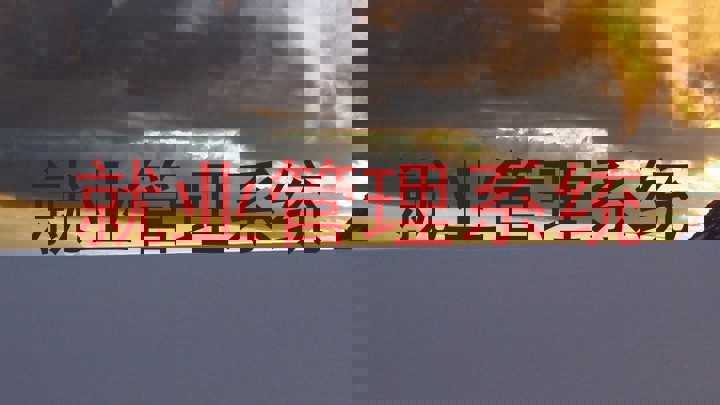 就业管理系统