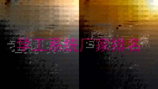 学工系统厂家排名