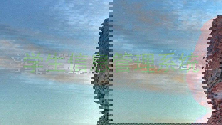 学生信息管理系统