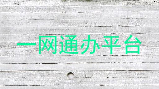 一网通办平台