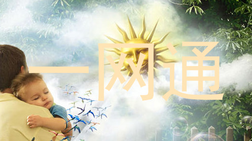 一网通
