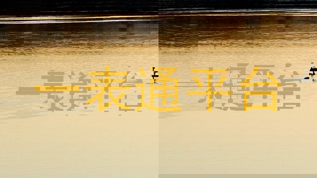 一表通平台