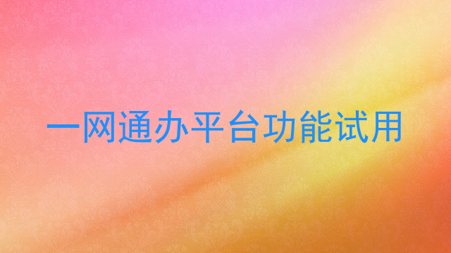 一网通办平台功能试用