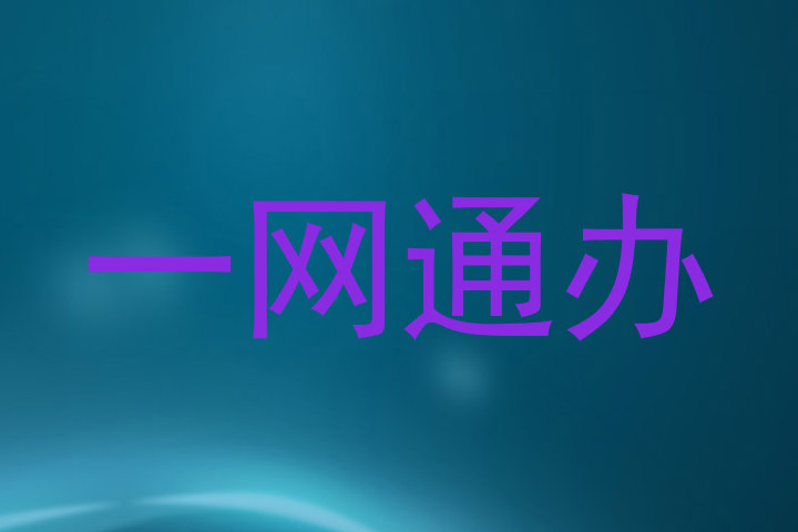 一网通办