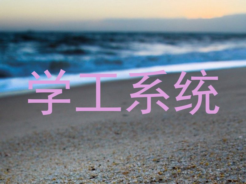 学工系统