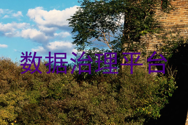 数据治理平台