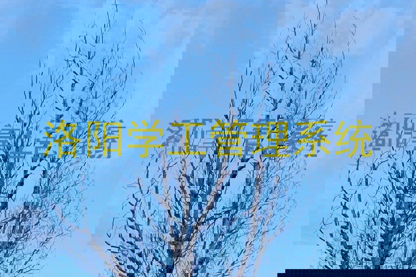 洛阳学工管理系统