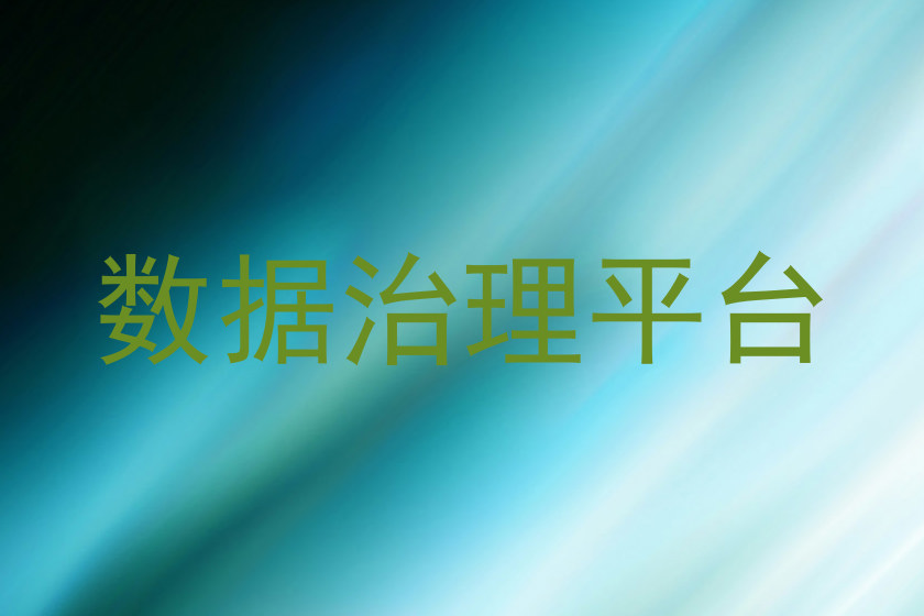 数据治理平台