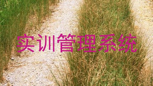 实训管理系统