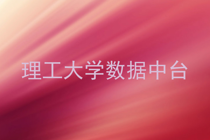 理工大学数据中台