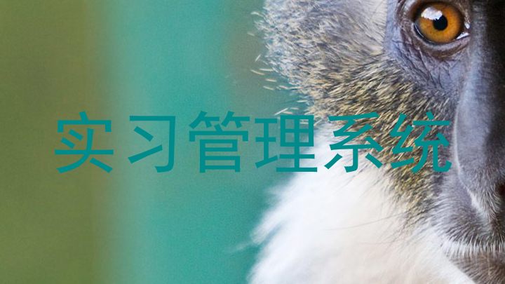 实习管理系统