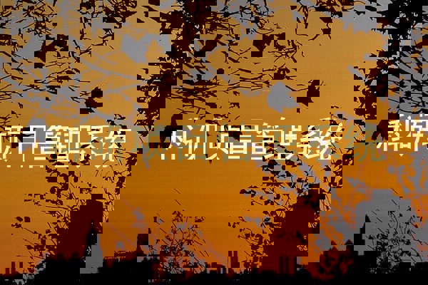 科研项目管理系统