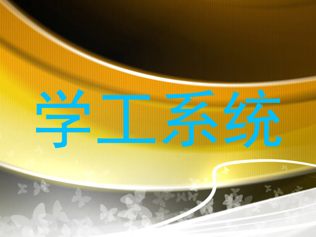 学工系统