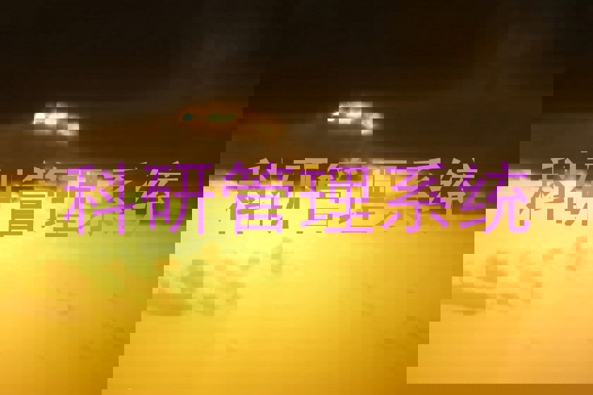 科研管理系统
