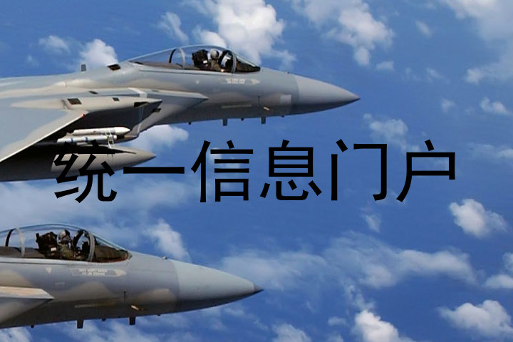 统一信息门户