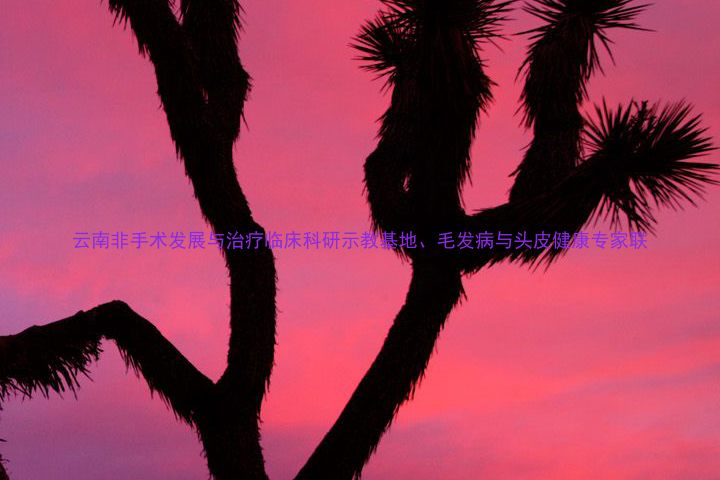 云南非手术发展与治疗临床科研示教基地、毛发病与头皮健康专家联