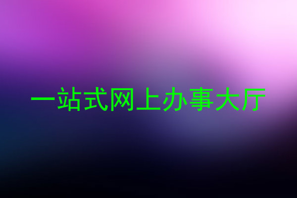 一站式网上办事大厅