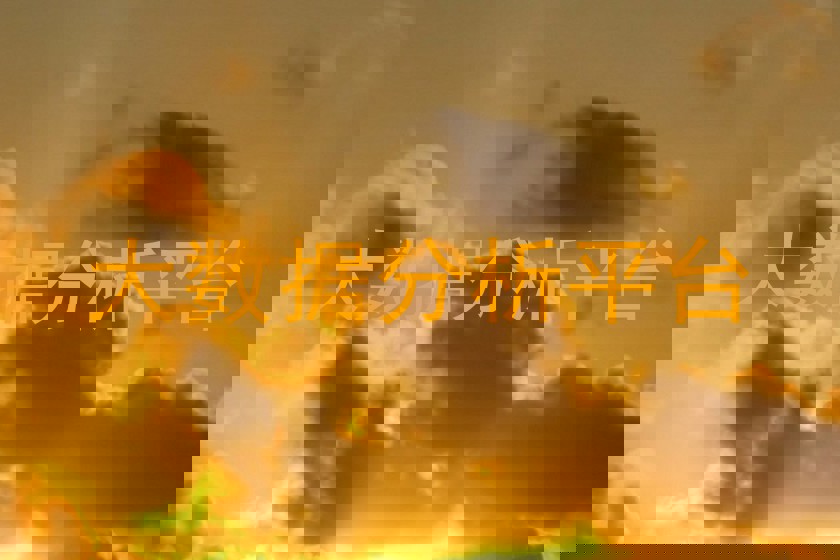 大数据分析平台