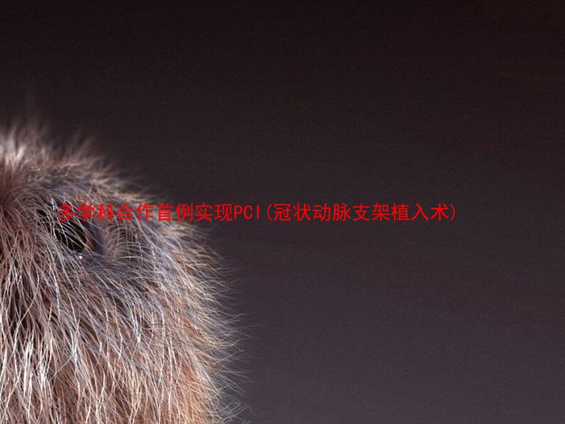 多学科合作首例实现PCI(冠状动脉支架植入术)