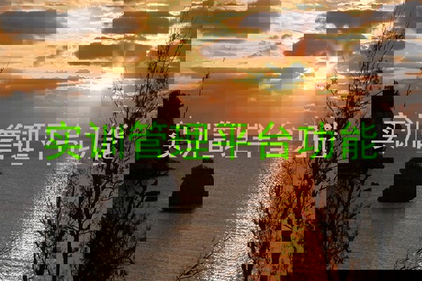 实训管理平台功能