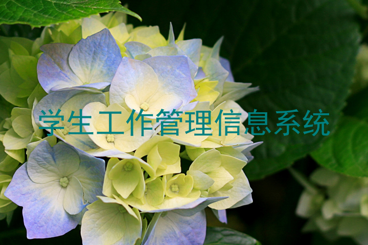 学生工作管理信息系统