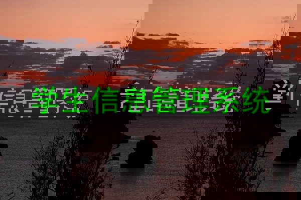 学生信息管理系统