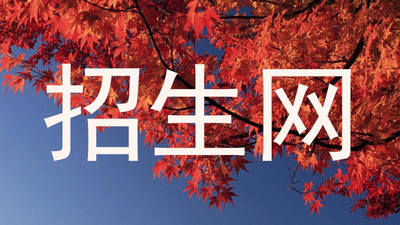 招生网