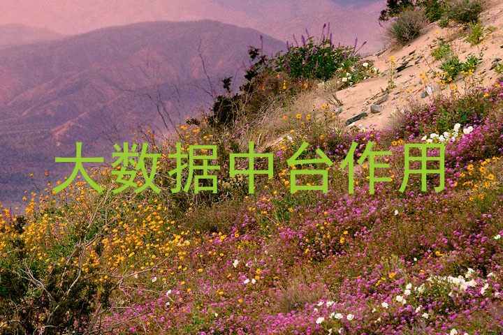 大数据中台作用