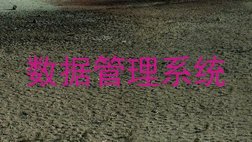 数据管理系统