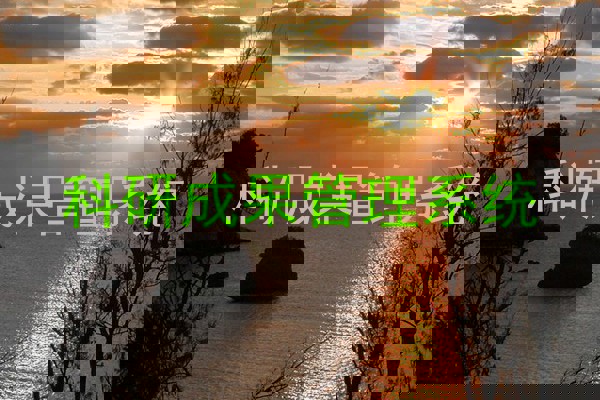 科研成果管理系统