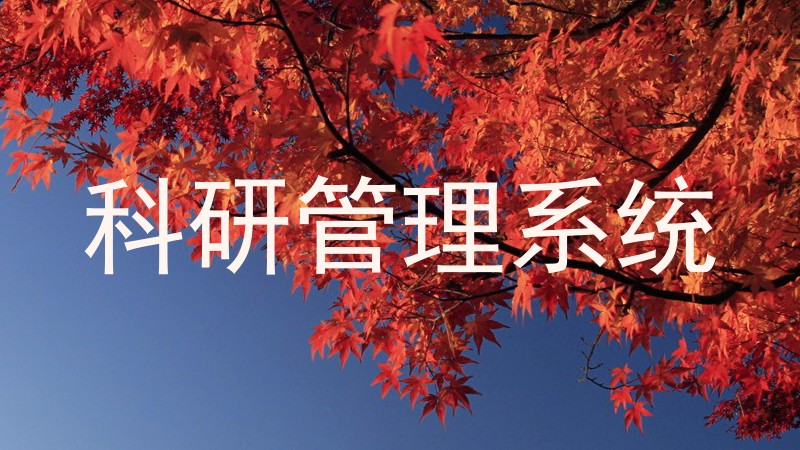 科研管理系统