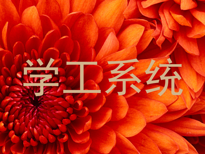学工系统