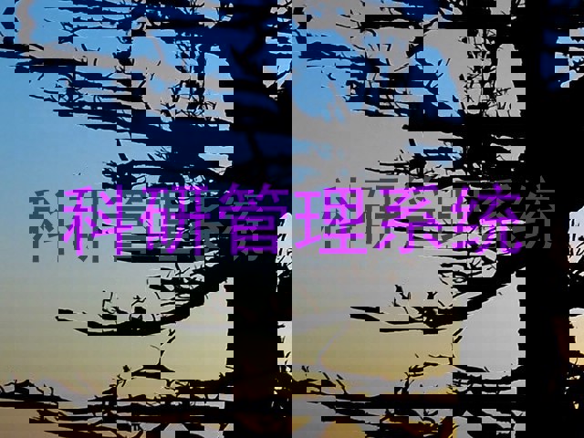 科研管理系统