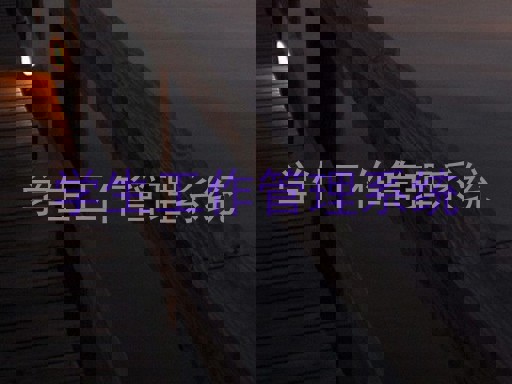 学生工作管理系统