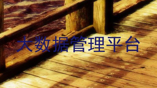 大数据管理平台