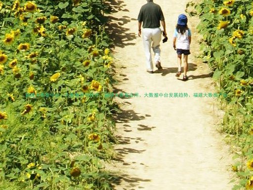 福建大数据中台、大数据中台技术、福建大数据应用、大数据中台发展趋势、福建大数据产业