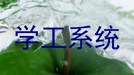 学工系统