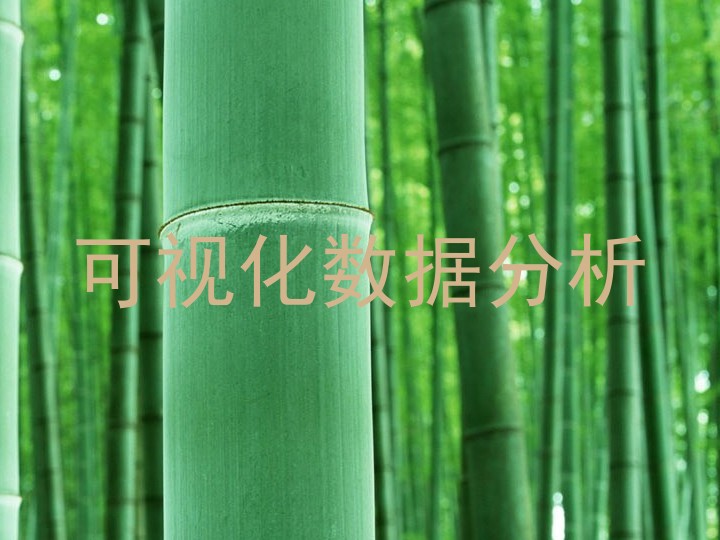 可视化数据分析
