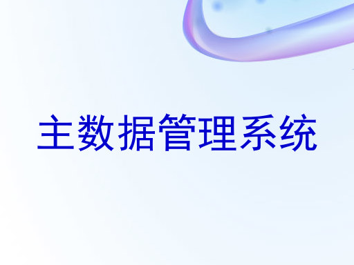 主数据管理系统