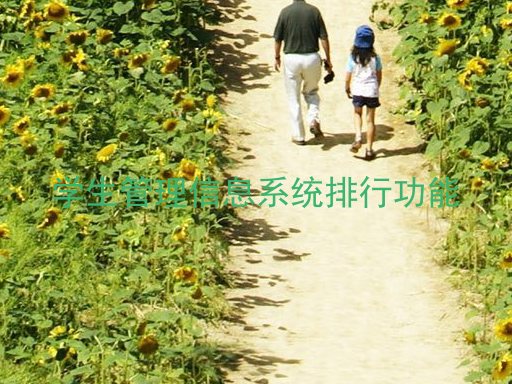 学生管理信息系统排行功能