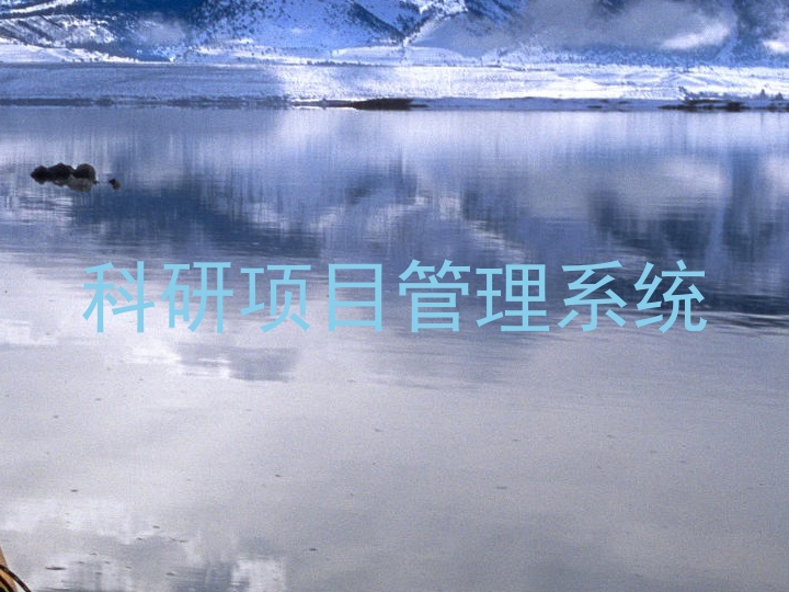 科研项目管理系统