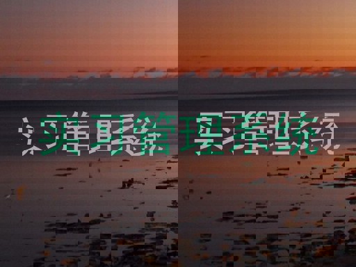 实习管理系统